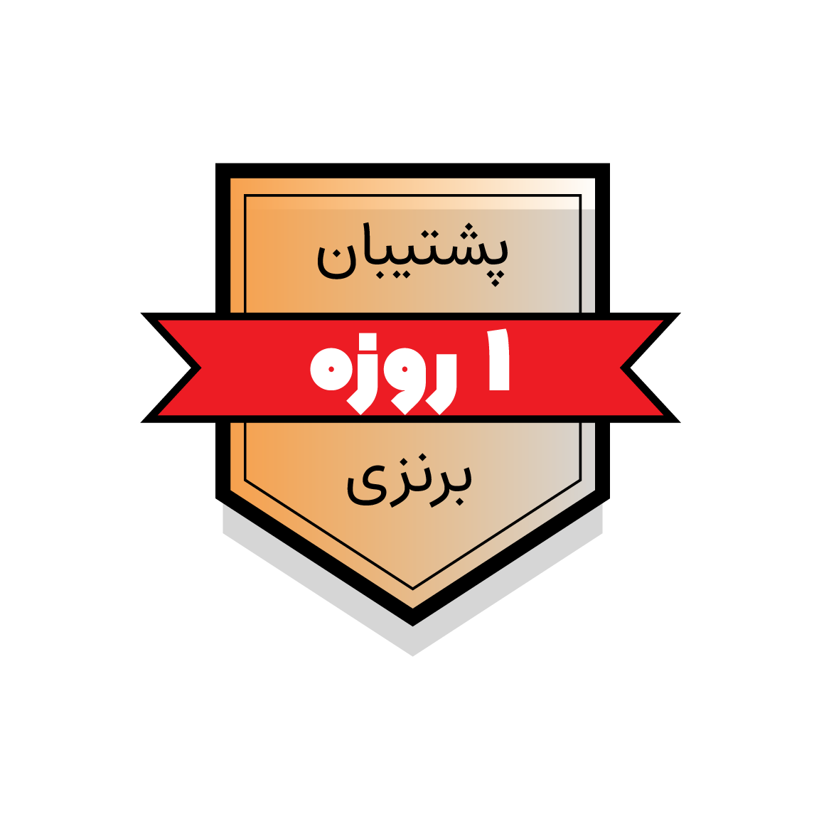 خدمات پشتیبانی برنزی وردپرس