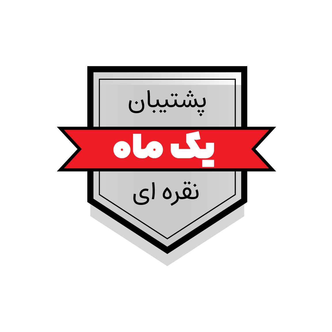 پشتیبانی نقرهای وردپرس