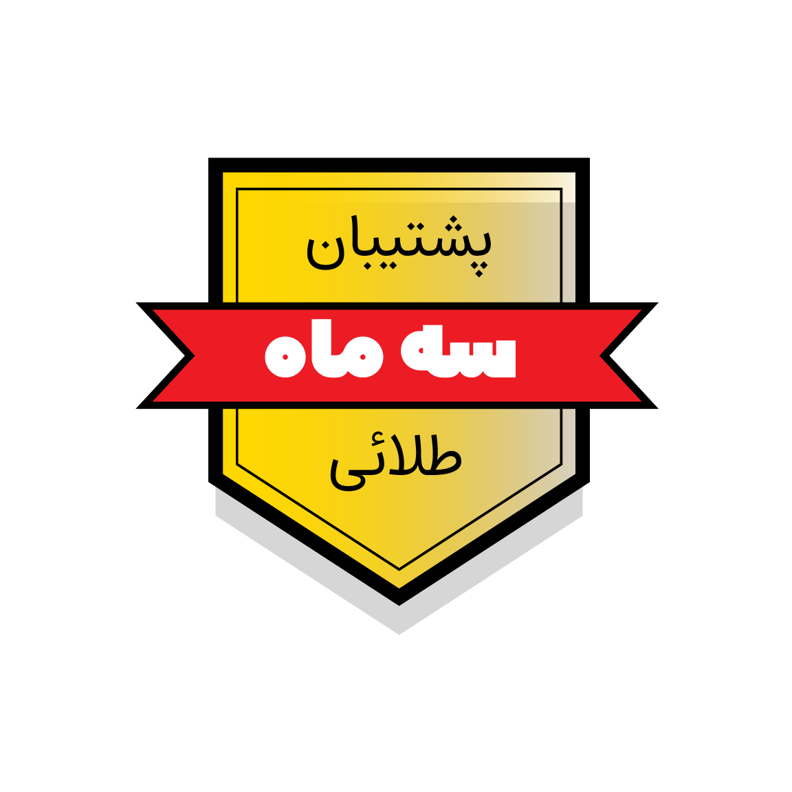 پشتیبانی طلایی وردپرس